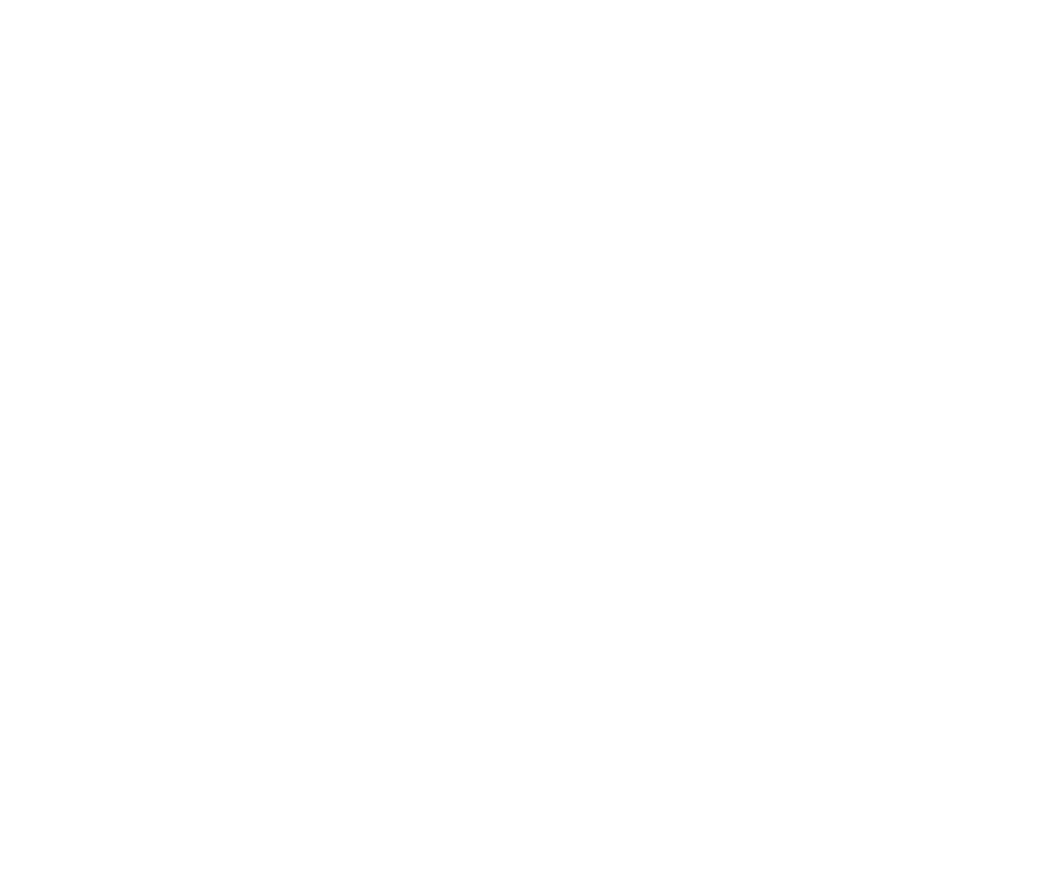 praetorius-kunden-icons-cruiseliner